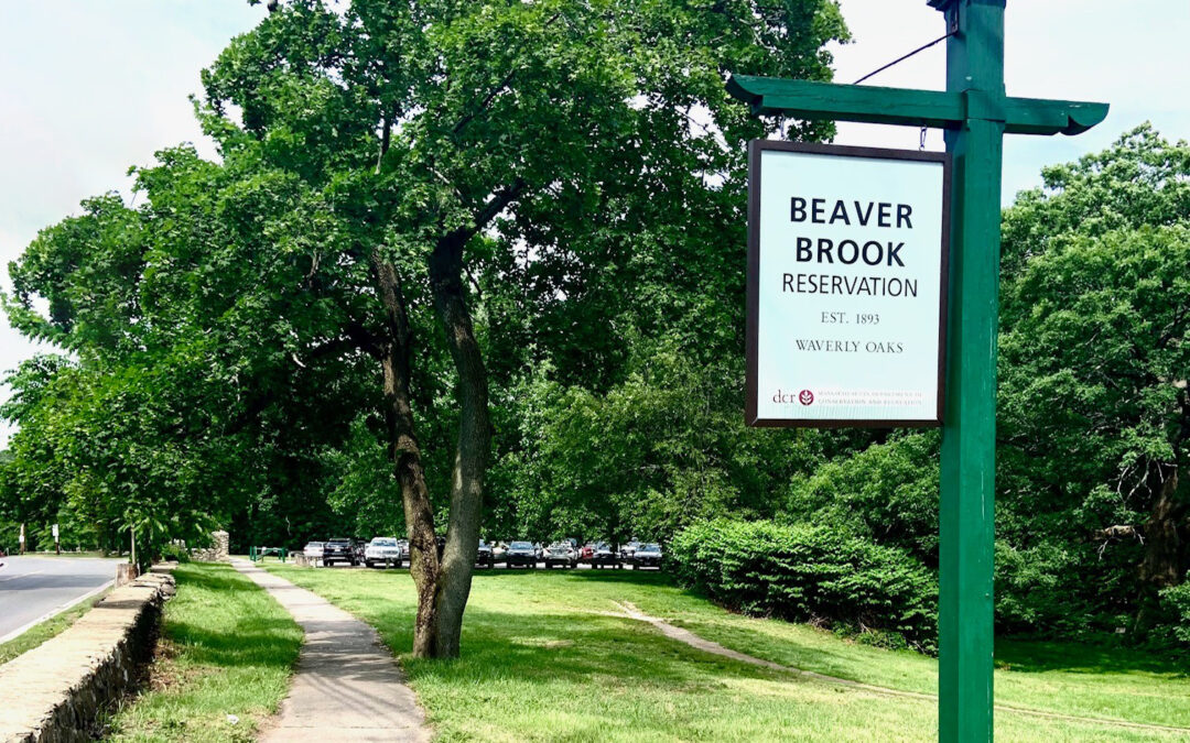 WHERE WORK MEETS NATURE: A CONNECTED CAMPUS AT WAVERLEY OAKS PARK