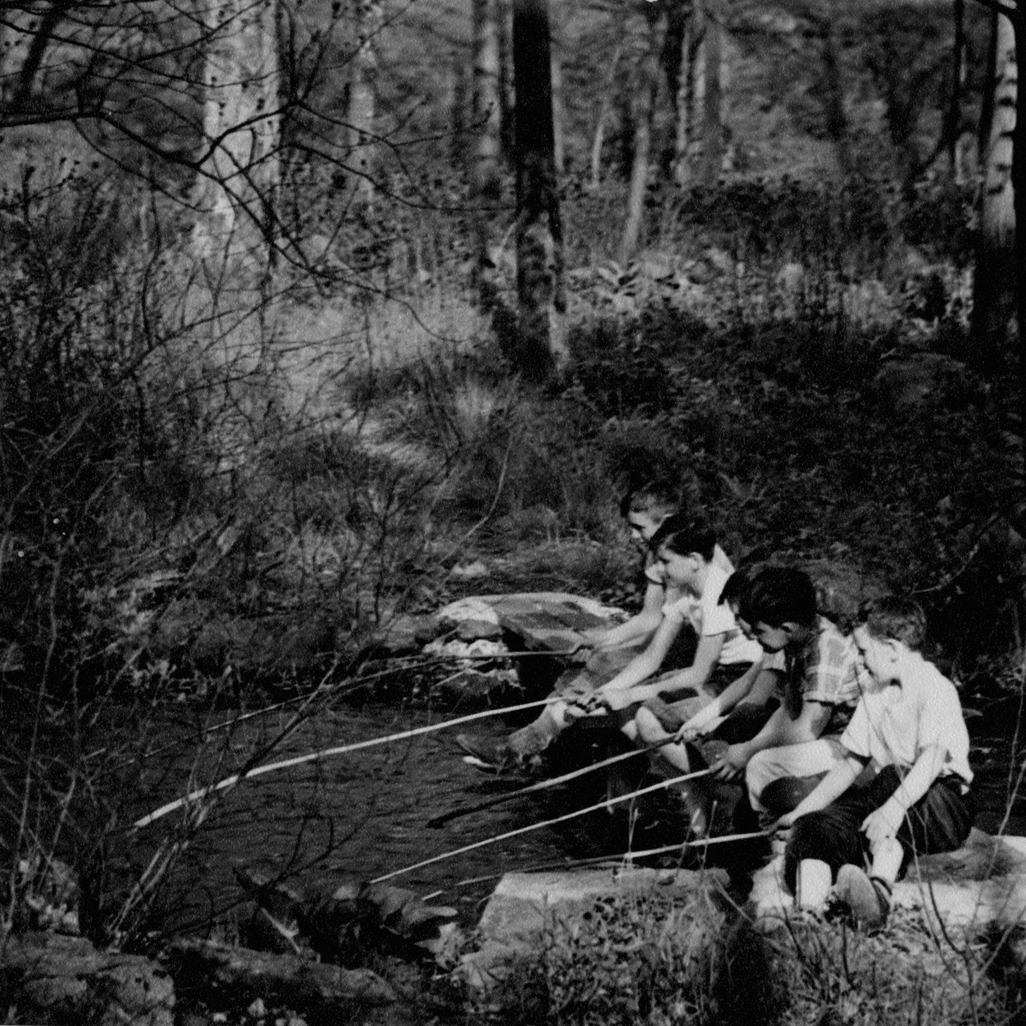 Children Fishing At Beaver Brook 1 Children Fishing At Beaver Brook 1