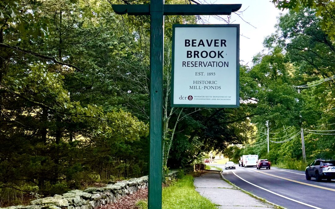 Rooted in History: Beaver Brook’s Tree Walk